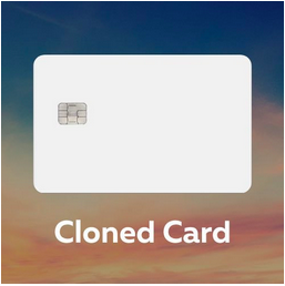1 Cloned Card