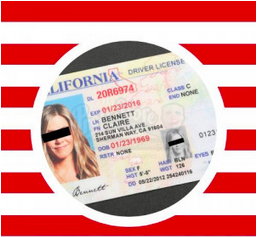 Undetectable Fake Driver’s License