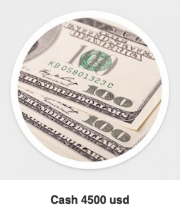 Cash 4500 Usd,